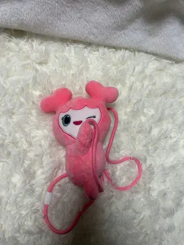 TWICE GIGO 안고 다니는 미니백 모모