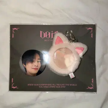 Straykids 스키즈 POPUP DO IT SKZOO 배지 아이엔