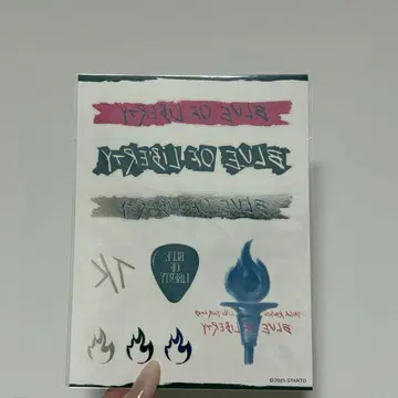 쿄모토 타이카 BLUE OF LIBERTY 바디 씰