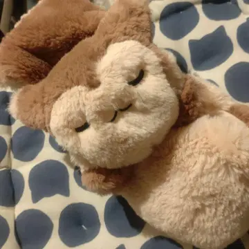 포켓몬 센터 오오타치 머플러