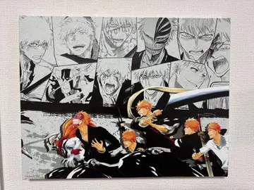 BLEACH 쿠로사키 이치고 BIG 아트 보드