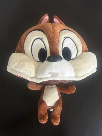 디즈니 팬캡 칩