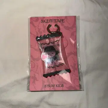 Straykids 스키즈 POPUP DO IT 키링 창빈