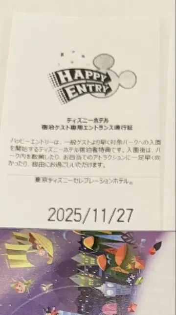 11월 27일 1장 해피 응모 해피엔 디즈니랜드