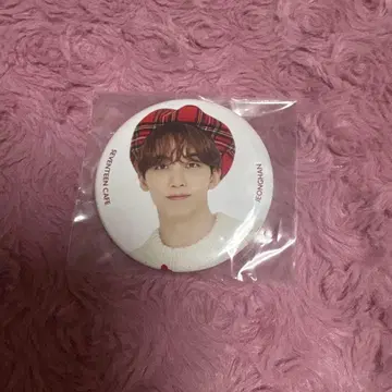 SEVENTEEN 정한 캔 배지