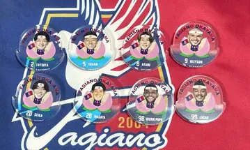 파지아노 오카야마 흔들흔들 아크릴 에사카 진