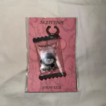 Straykids 스키즈 POPUP DO IT 키링 현진