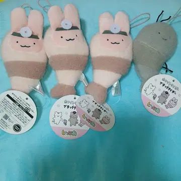 블랙 타이거와 화이트 타이거 시프 4체 세트