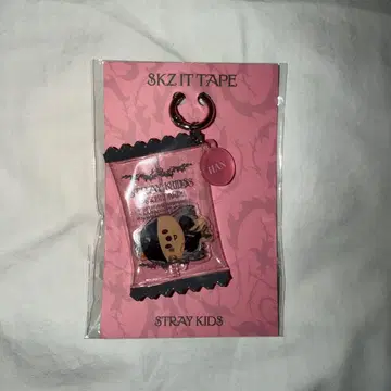 Straykids 스키즈 POPUP DO IT 키링 한