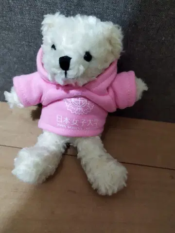 [ 새상품급 ] 일본여자대학 후드 부착 곰 봉제 인형