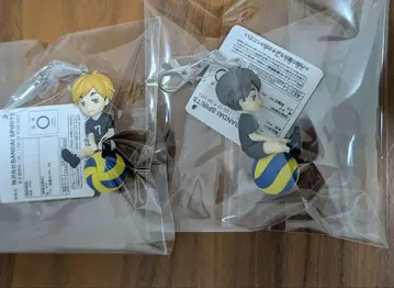 하이큐!! 프티토 노리마스 Vol.5 미야 아츠무 미야 오사무 2종 세트