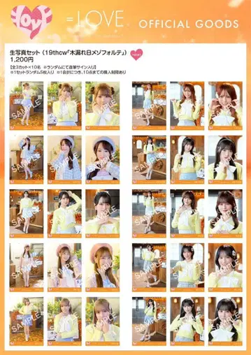 이코라부 생사진 나무 사이로 비치는 햇살 메조포르테 풀컴프