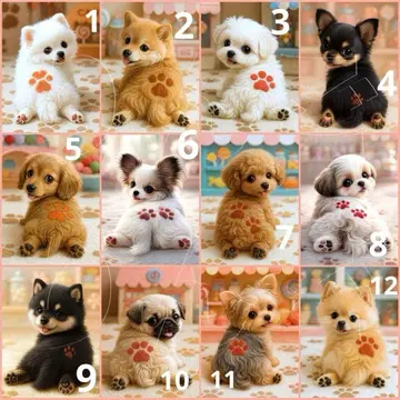 리퀘스트 패널 16cm 지퍼 파우치