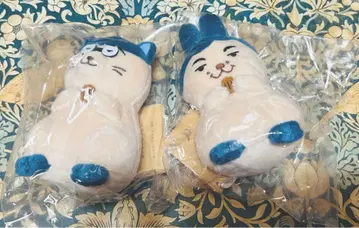 모후모토 롱 코트 대디 세트