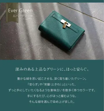 덴하마노 미티어 월렛 왈츠 그린 새상품급