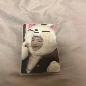 SKZOO 트레이딩 카드 아이엔 JYP 공식