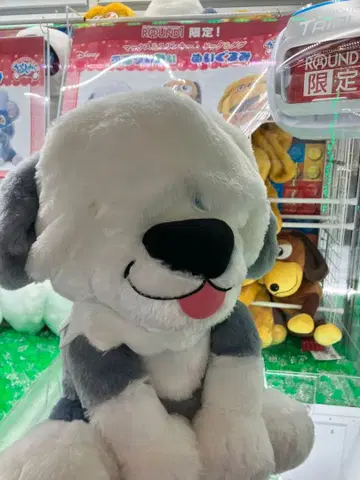 #미사용#맥스#인어공주#우루리이미#도그#개#디즈니