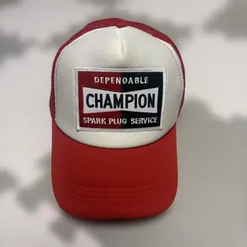 CHAMPION 스파크 플러그 서비스 캡