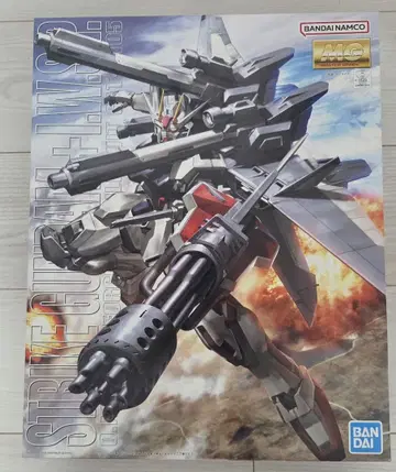 MG 스트라이크 건담+I.W.S.P