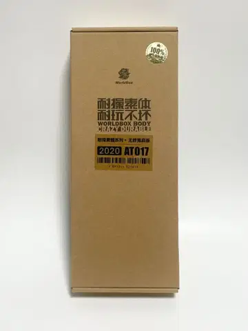 WORLDBOX BODY AT017 1/6 남성 소체 바디 현 상태품