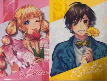 HoneyWorks 클리어 파일 나루미 세나 모치즈키 소타