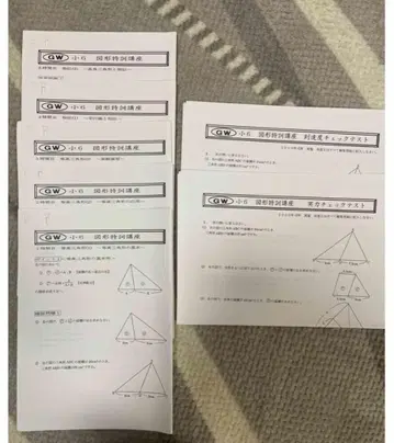 명신연 초6년 GW 도형의 특성 문제집