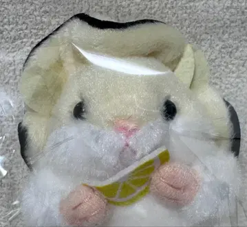 지역 특색 햄스터 굴 봉제 인형