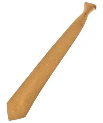 Salvatore Ferragamo 넥타이 남성용