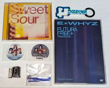 ExWHYZ 한정판 스티커 키링