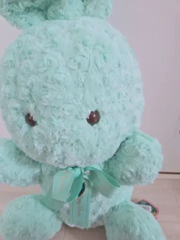 해피 버스데이 토끼 BIG 봉제 인형 12월