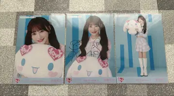 이코럽 오토시마 리사 시나모롤 콜라보 친필 컴프 세트