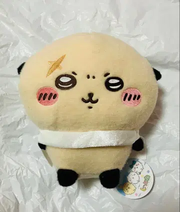 치이카와 (먼작귀) 시이푸와 봉제 인형 랏코