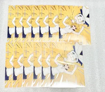 fgo KADOKAWA 클리어 카드 세트 알퀘이드