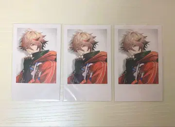 세라프 다즐 가든 FOCUS ON 폴라로이드풍 카드 니지산지