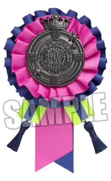 ALL STAR STAG 히나타 야마토 모티브 브로치