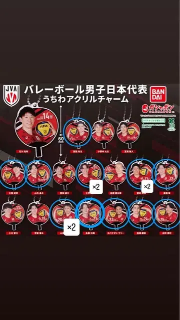 배구 남자 일본 대표 부채 아크릴 참