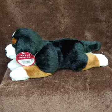 레갈로, 버니즈 마운틴 도그 대 40cm 봉제 인형, (그 2)