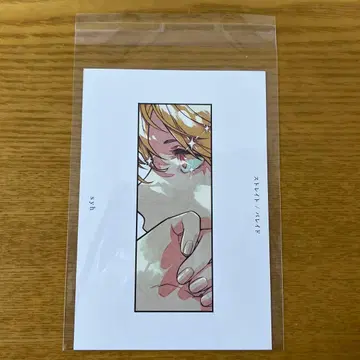 기븐 히이라기 syh 스트레이트 팔레드 특전