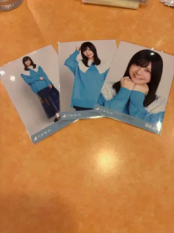 노기자카46 브로마이드 카라 부착 코디 컴프 토미사토 리나