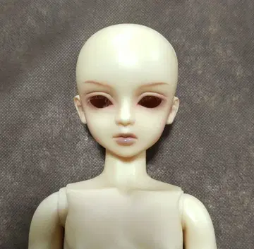 [ MSD ] 휴이 한정판 슈퍼돌피 남아 SDC 바디