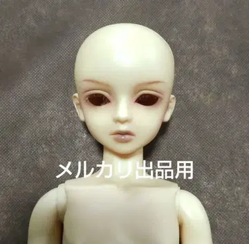 [최종 가격 인하] MSD 휴이 한정판 슈퍼돌피 남아 SDC 바디