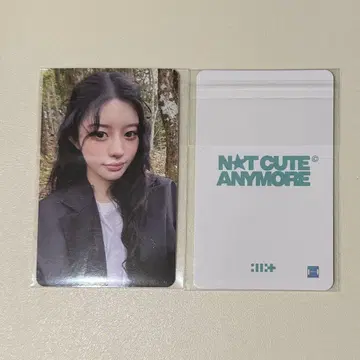 ILLIT not cute anymore MUSICKOREA 럭키 드로우