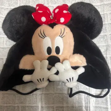 디즈니 미니 팬캡