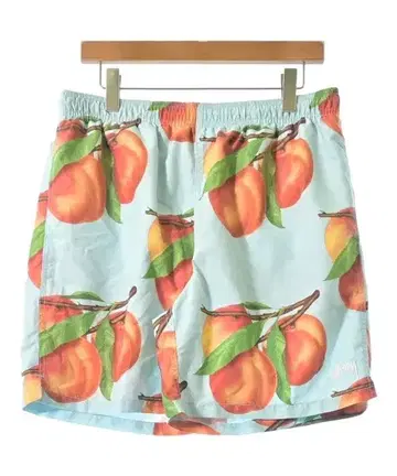 STUSSY 숏팬츠 남성용