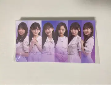 노기자카46 신참자 사진 앨범