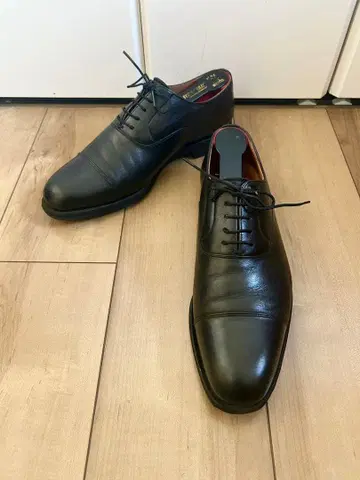 [컨디션 최상] SCOTCHGRAIN 스코치그레인 샤인오어레인 25.5