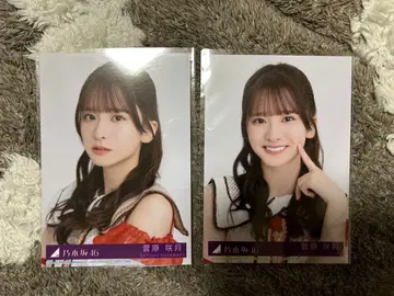 2209. 노기자카46 스가와라 사츠키 요리 x 2종 브로마이드