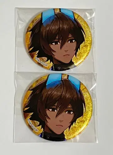 FGO 글리터 캔뱃지 아르주나 알타 로손 콜라보