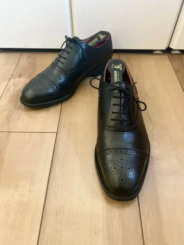 [ 새상품급 ] SCOTCHGRAIN 스코치그레인 펀치드 캡토 25