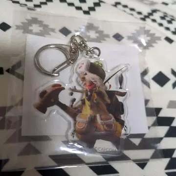 아이루 아크릴 키링 몬스터 헌터